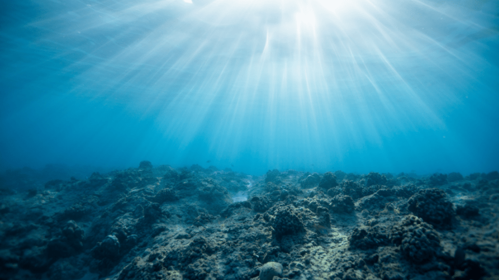 Mikroplastik in Kosmetik - PonyHütchen