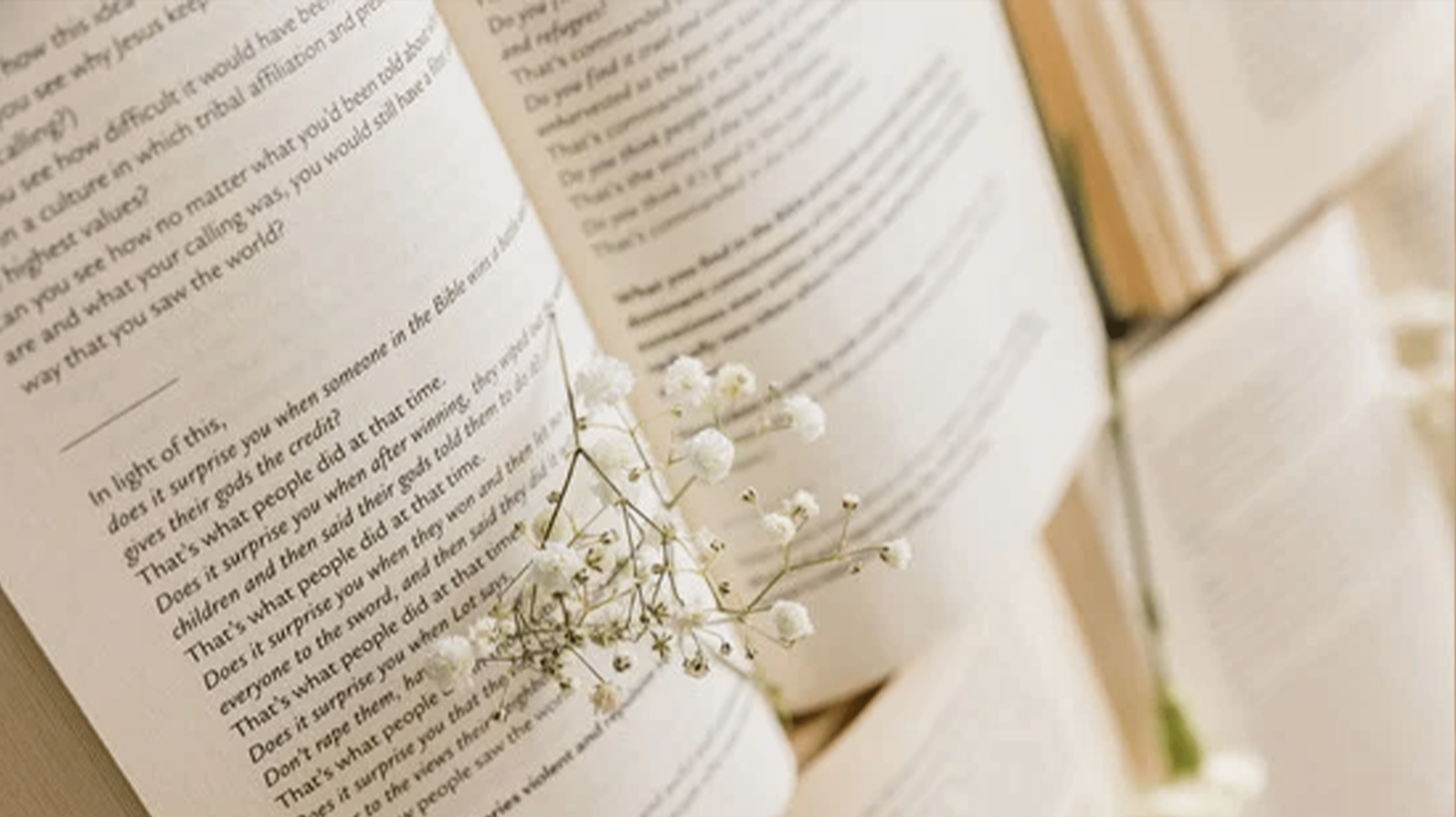 Skincare Jahreskalender - PonyHütchen