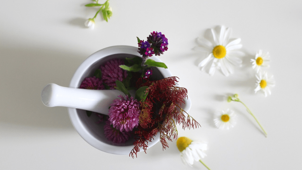 Warum Du Naturkosmetik nutzen solltest: Vorteile von Naturkosmetik - PonyHütchen