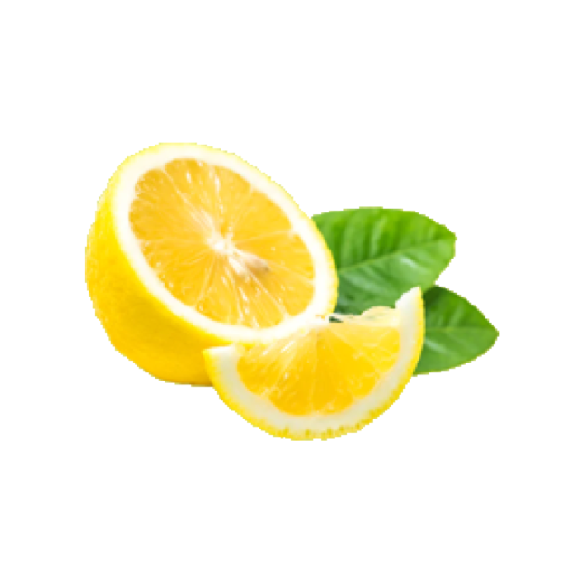 Artboard Copy 58.png__PID:0b6cc1cd-08f9-40fd-8952-1e04677184ca