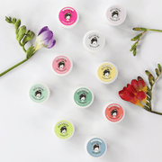 Deocreme Discovery Set - ponyhütchen